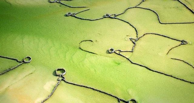 Fish traps in Kosi Bay, South Africa