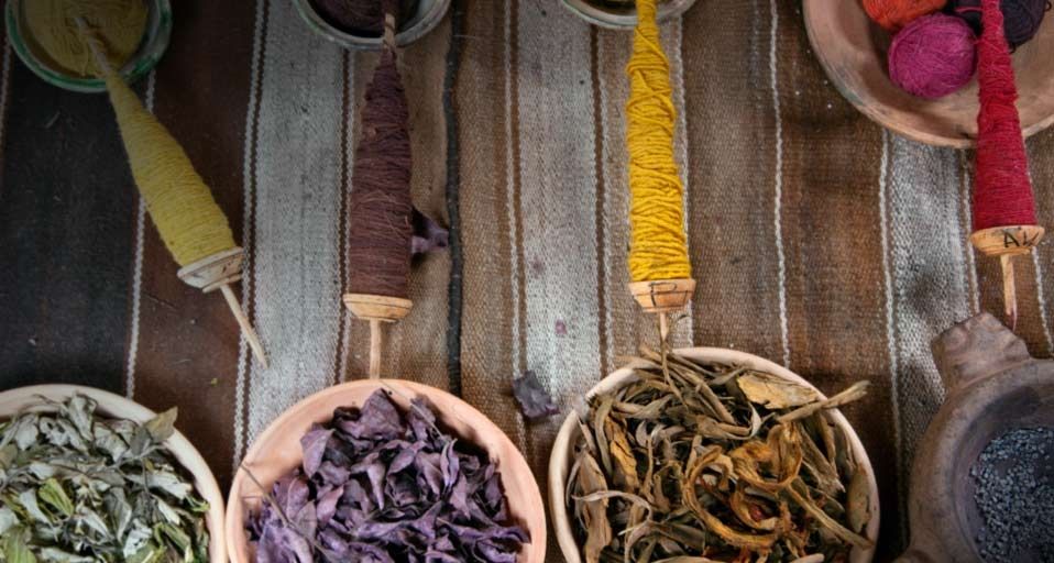 The raw materials traditionally used by Peruvian Indians to dye wool in subtle colours