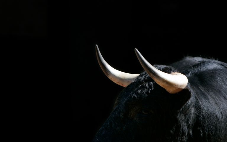 Antlers and Horns Theme for Windows 10