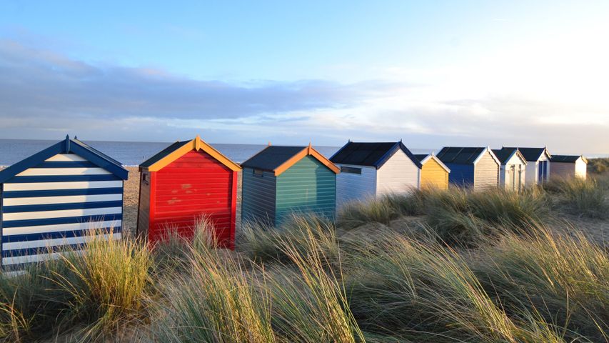 Shacks on the strand