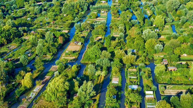 Vue aérienne des marais de Bourges, France