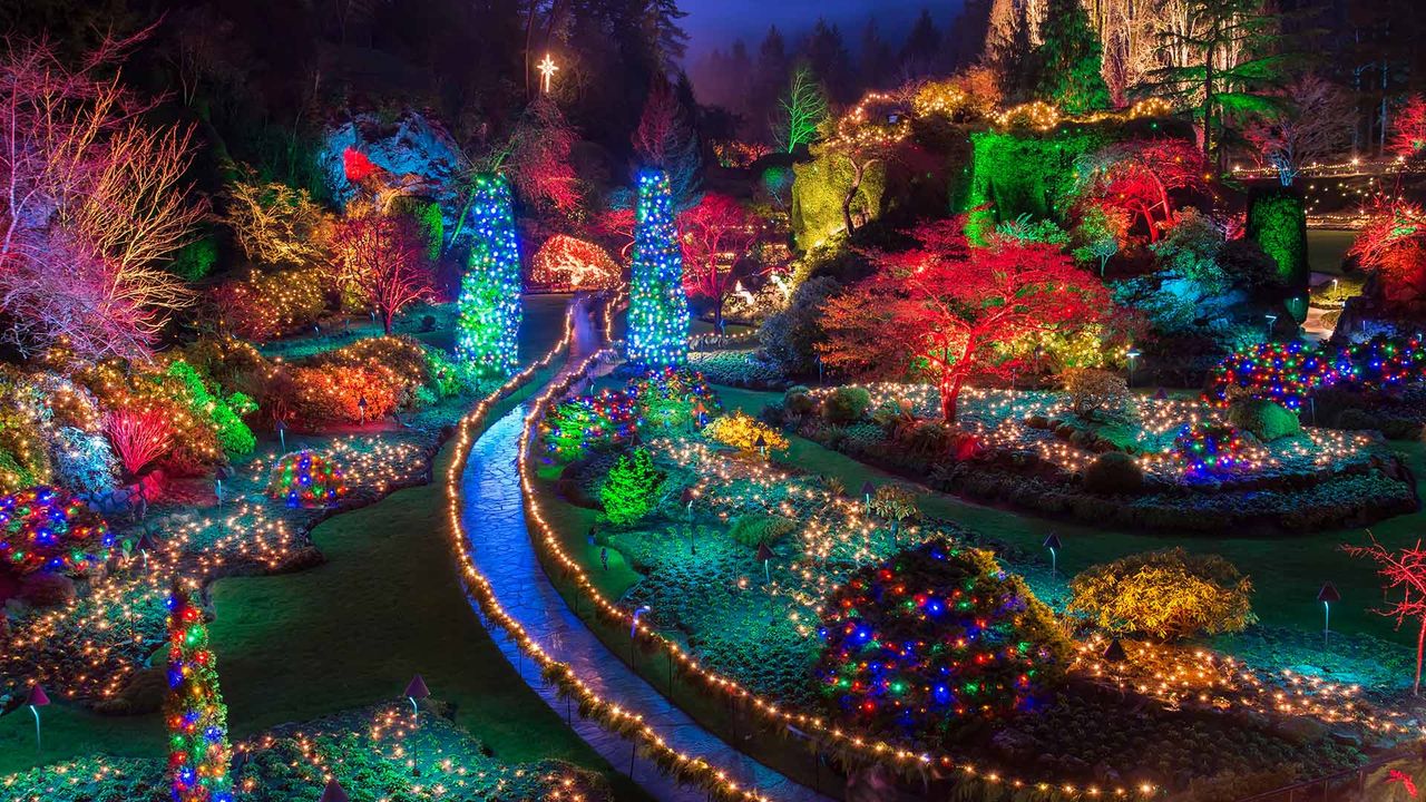 Christmas lights at the Butchart Gardens in British Columbia