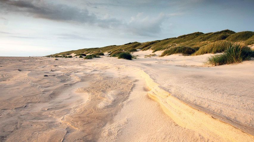 Dunes of Denmark