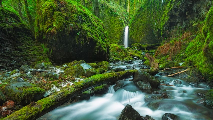 Gorge du fleuve Columbia, Oregon, États-Unis