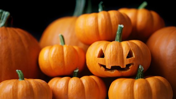 发现QT Animation Framework