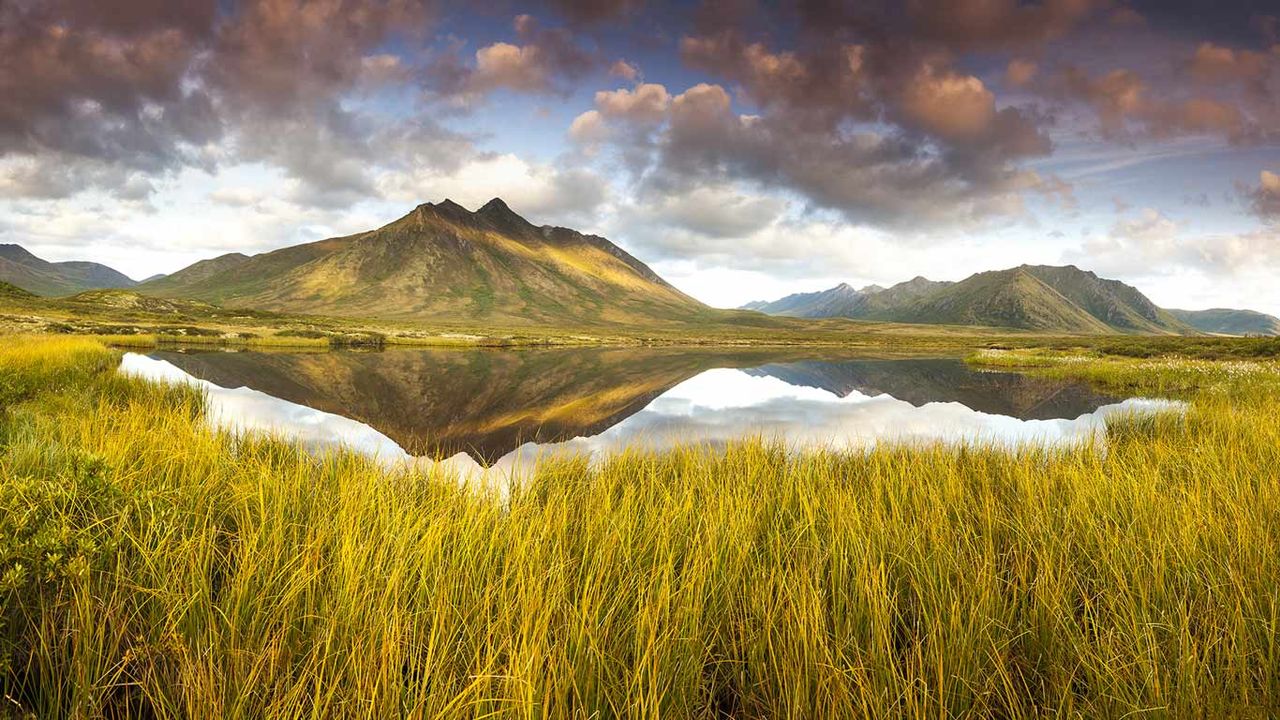 Mountain reflection in a thaw-lake in the permafrost in Tombstone Territorial Park, Yukon Territory