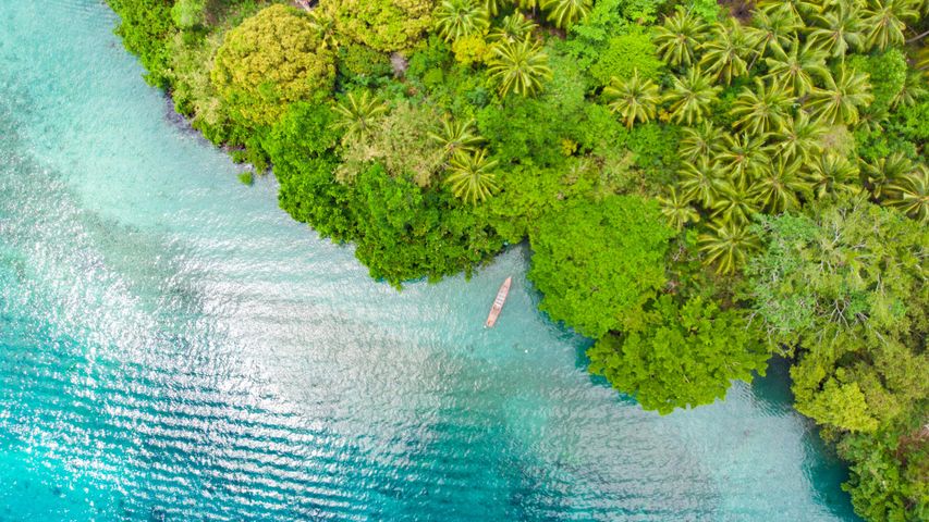 緑の森と青い海, インドネシア