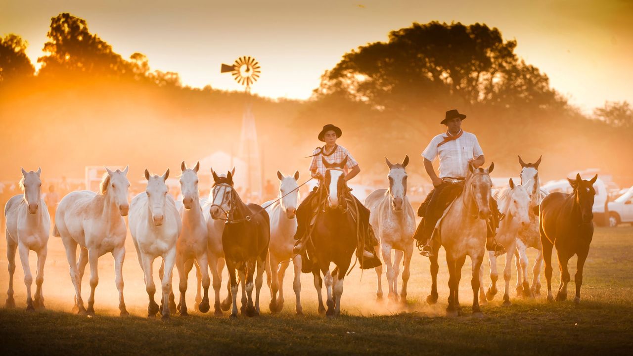 Gaucho festival in San Antonio de Areco, Buenos Aires Province, Argentina 