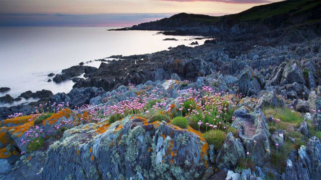 Bull Point in Devon