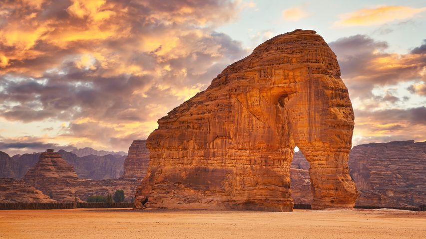 Rocher de l'éléphant, Al-Ula, Arabie Saoudite