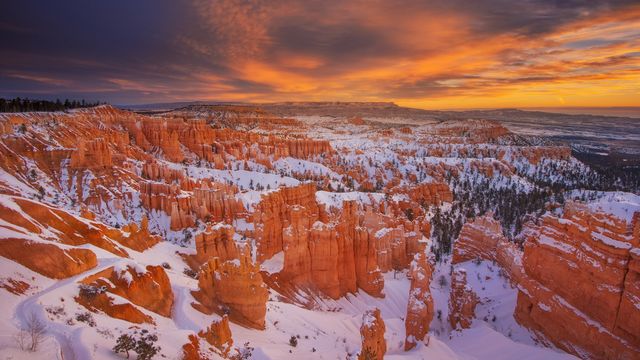 Hoodoos at Bryce Canyon National Park, Utah