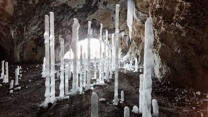 Eiszapfen in der Oswaldhöhle bei Muggendorf, Wiesenttal, Fränkische Schweiz, Bayern, Deutschland 
