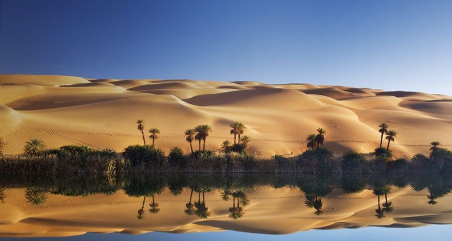 Die Dünenkette Erg Ubari spiegelt sich in einem See, Wüste Sahara, Libyen – Radius Images/Photolibrary ©
