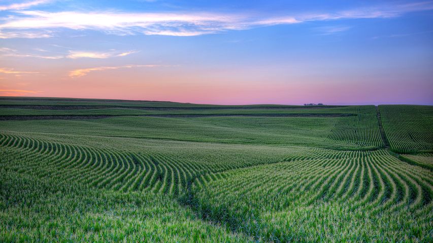 Heavenly heartland