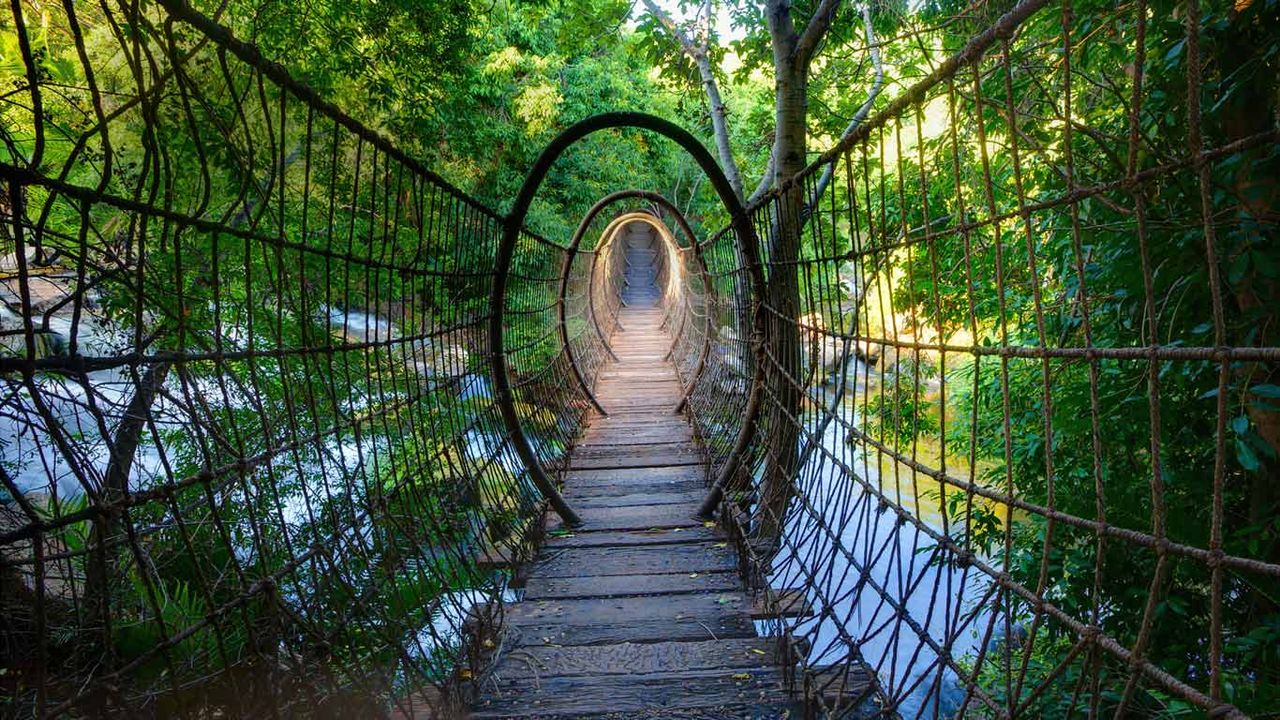 Pont suspendu dans le palais de Lost City, Sun City, Province du Nord-Ouest, Afrique du Sud