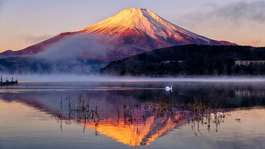 水面に映る紅富士, 山梨