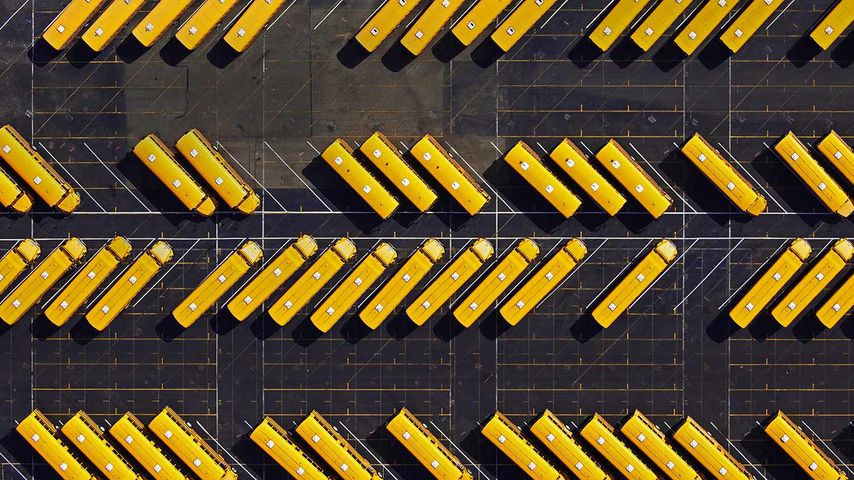 Yellow school buses parked in a lot