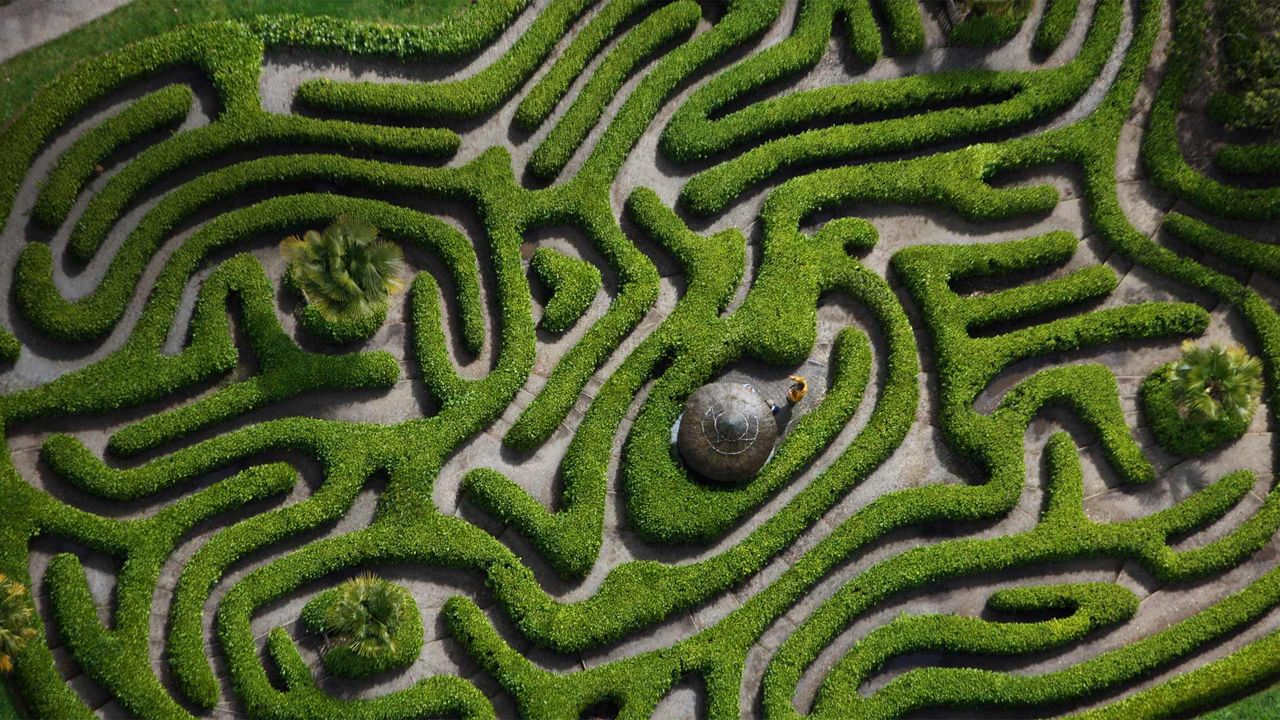 Aerial view of the cherry laurel maze in Glendurgan Garden, Cornwall, England