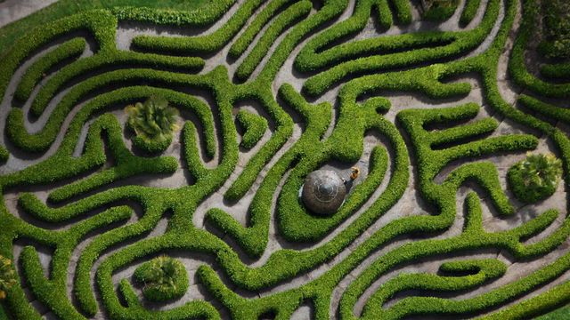 Aerial view of the cherry laurel maze in Glendurgan Garden, Cornwall, England