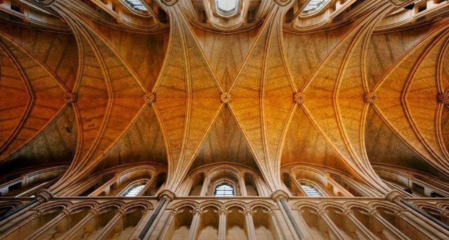 The ceiling of Southwark Cathedral in London, England