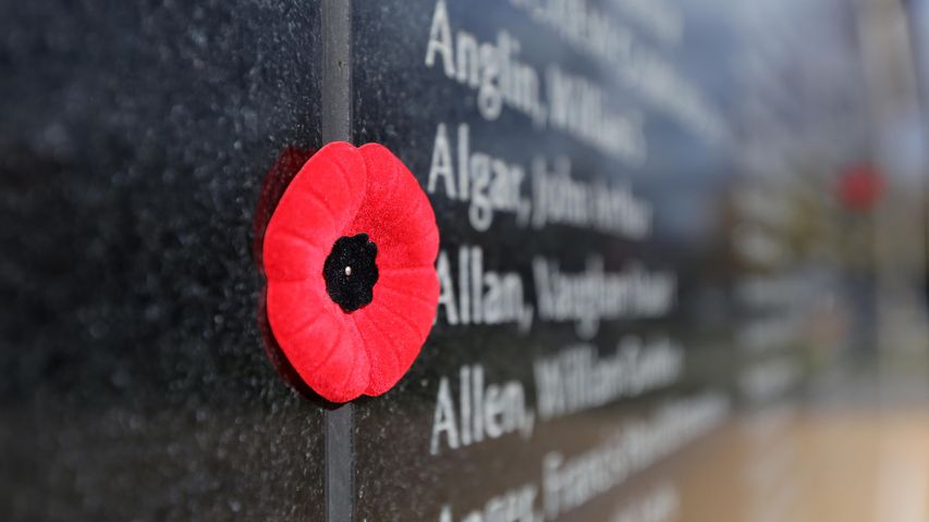 Poppies sit by names on a memorial wall during Remembrance Day in Kingston, Ont.