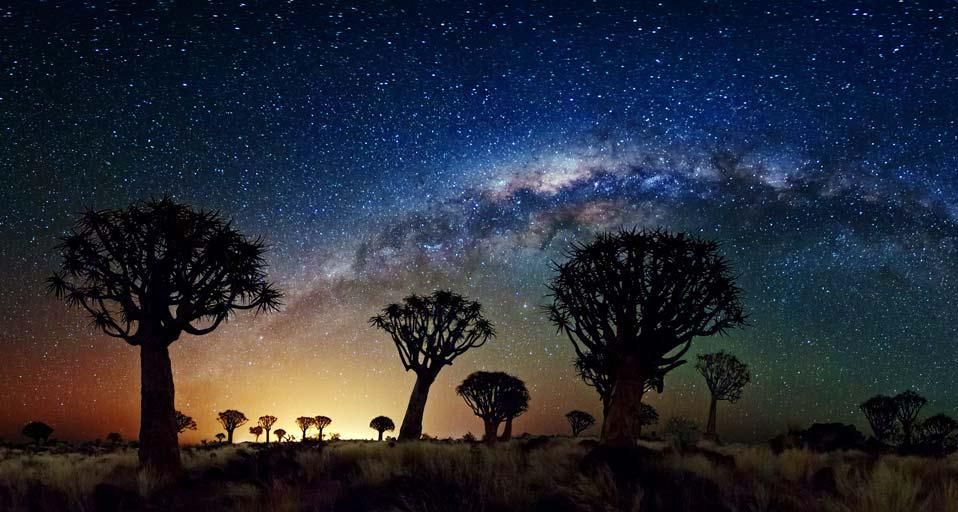 The Milky Way stretches over the Quiver Tree Forest, Namibia