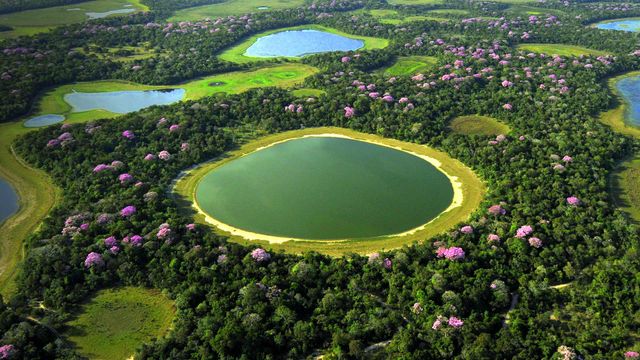 Wetlands of Pantanal, Brazil
