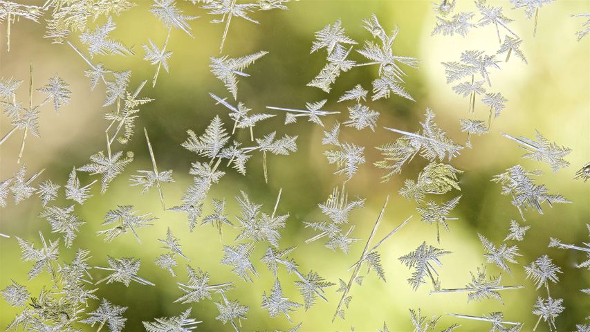 Ice Crystals PREMIUM 4K Theme for Windows 10