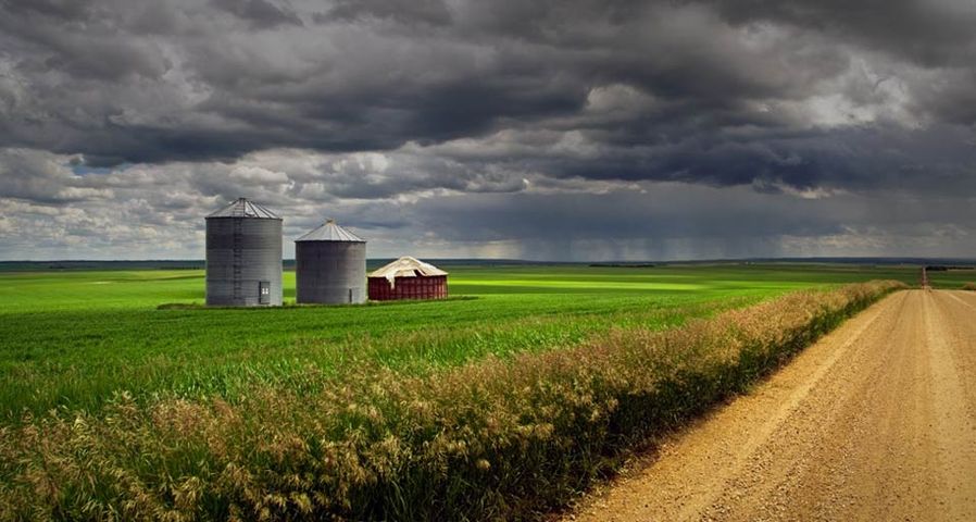 A country road with fields and granaries and an approaching rain storm in Oyen, Alberta, Canada