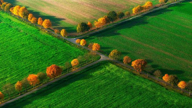 Nottuln, Münsterland, North Rhine-Westphalia, Germany 
