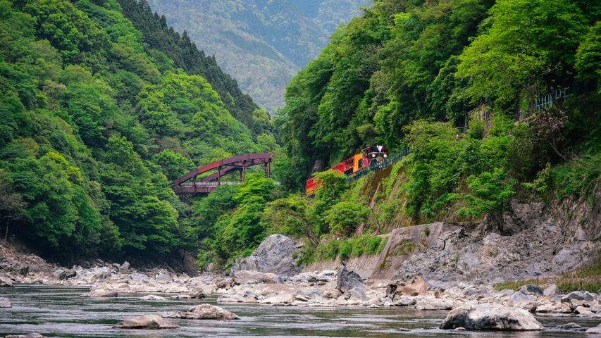 保津川沿いに走るトロッコ列車, 京都