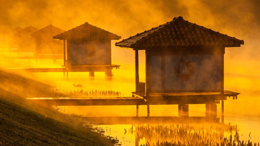 Araraquara, São Paulo