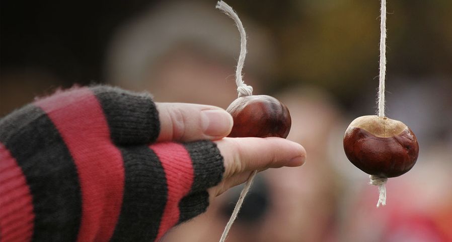 People take part in the annual World Conker Championships, near Oundle, Northamptonshire