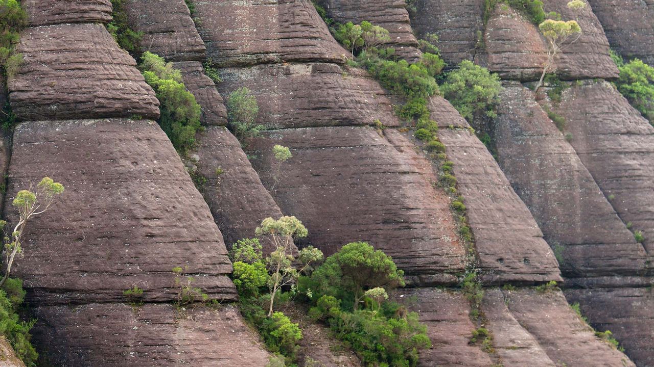 Budawang Range in Morton National Park, New South Wales 
