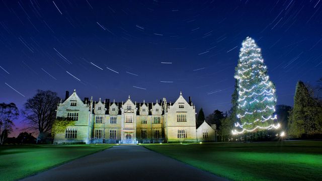 Star trails above the Christmas tree at Wakehurst, West Sussex 