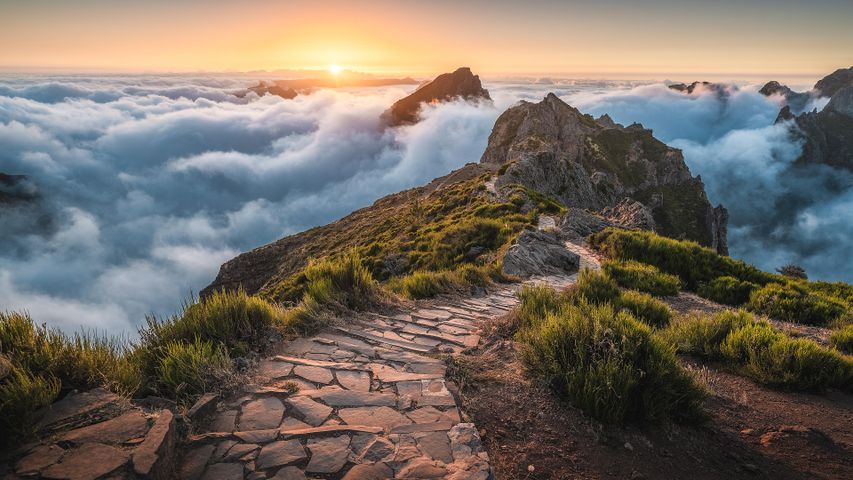 A Madeiran mountaintop