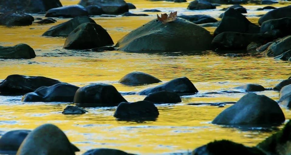 Stillaguamish River am Mt. Baker-Snoqualmie National Forest, Washington