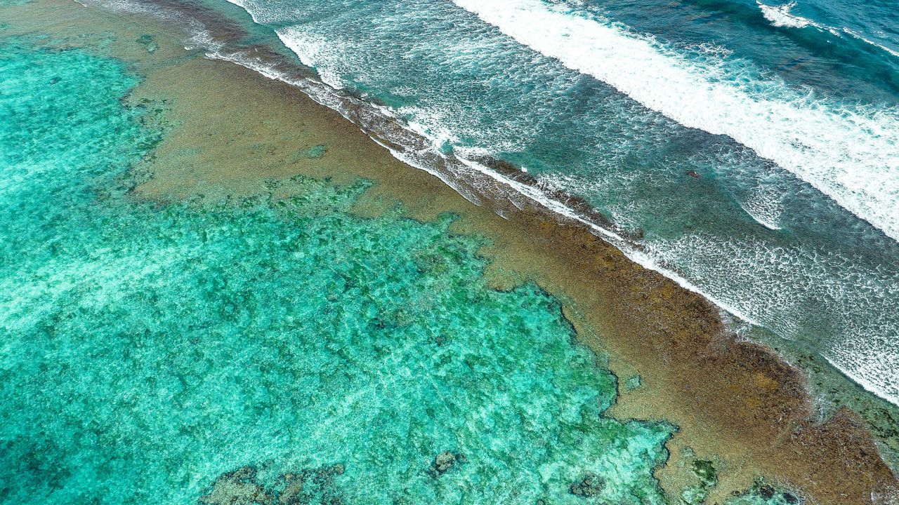 Coral shores