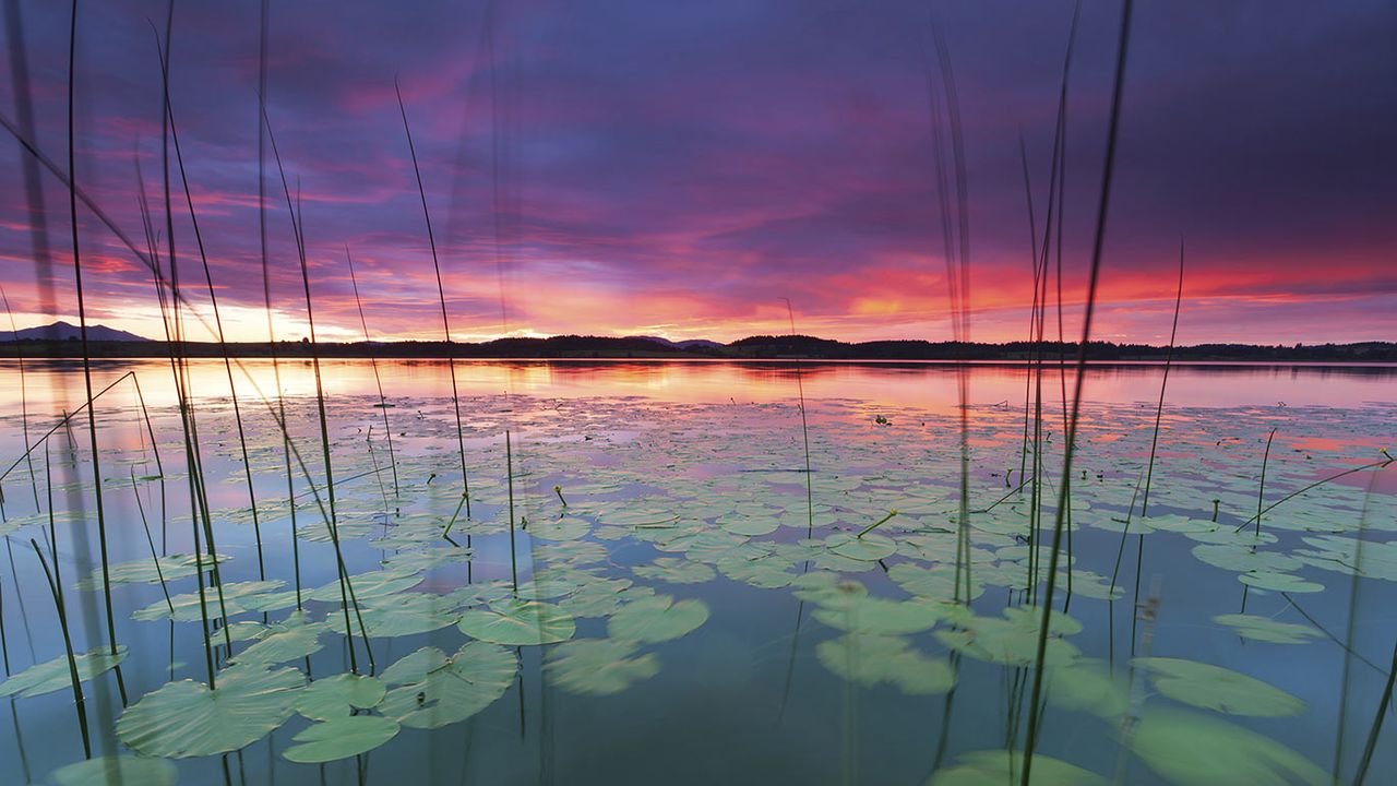Sonnenuntergang am Bannwaldsee, Allgäu, Bayern, Deutschland