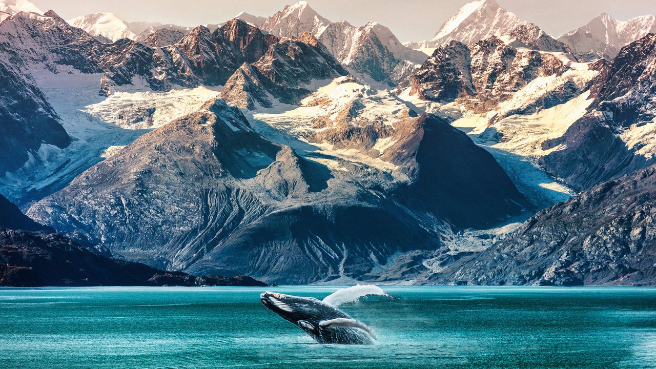 A scenic splash