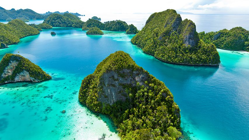 Above the reefs