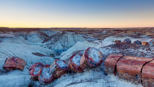 Petrified Forest National Park, Arizona