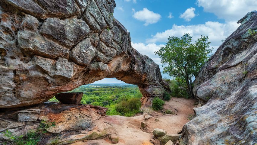 Nature's masonry