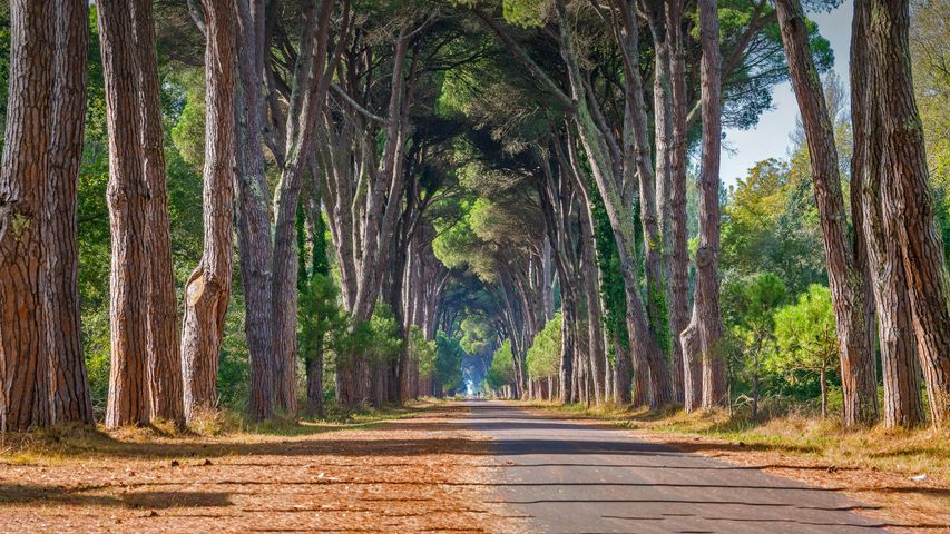 米利亚里诺自然公园，圣罗索尔，意大利马萨西犹可利