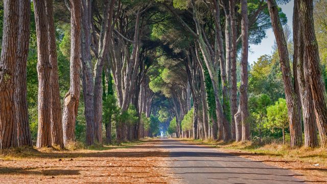 ミリアリーノ・サンロッソーレ・マッサチウッコリ州立公園, イタリア