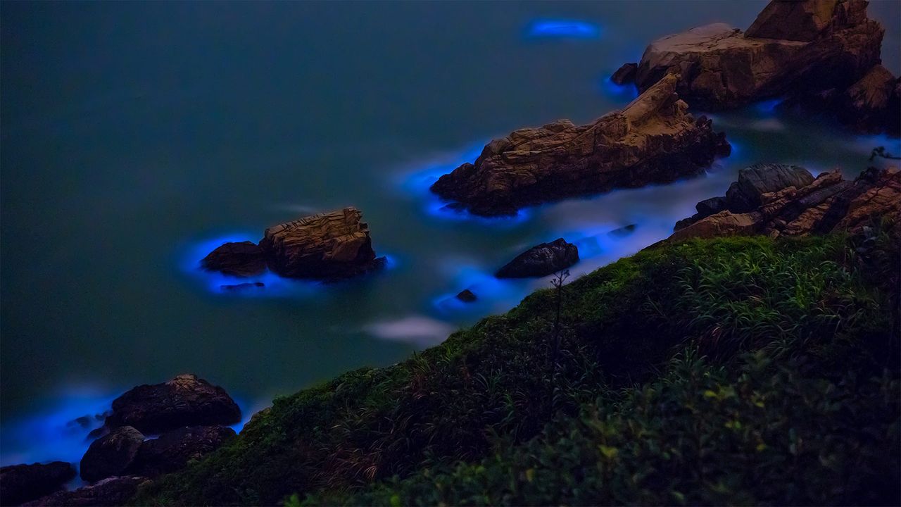 Algues bioluminescentes le long des côtes des îles Matsu au large de Taiwan
