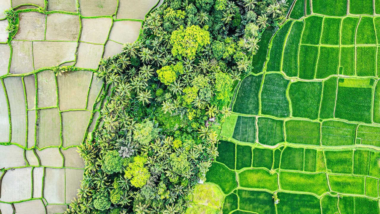 A sustainable legacy