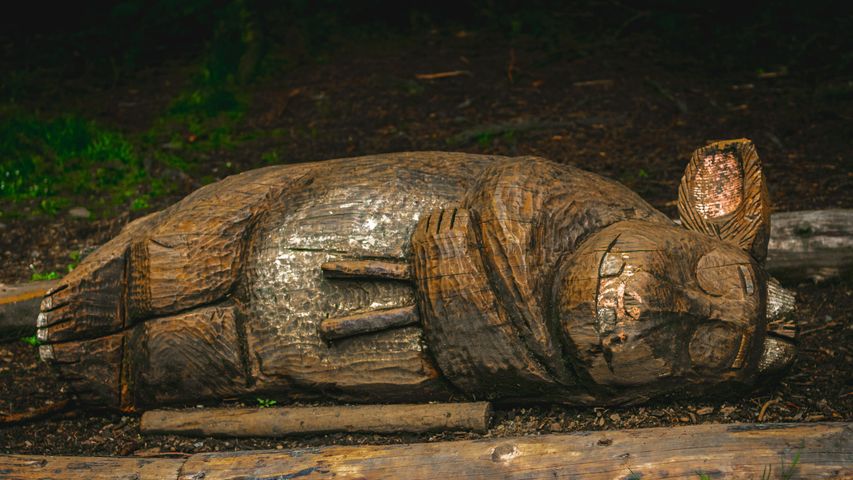 Gruffalo sculpture, Whinlatter Forest National Park, Lake District