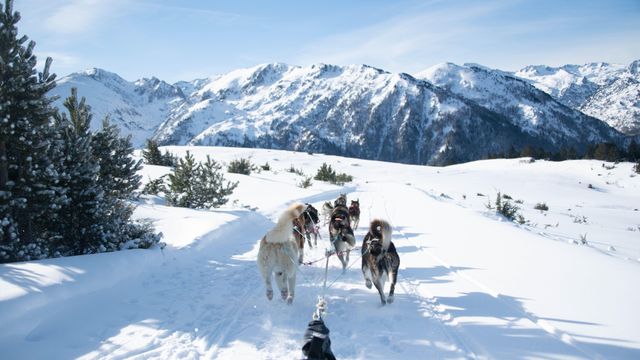 Vue depuis un traîneau tiré par des chiens au milieux des montagnes, Les Cabannes, Occitanie, France