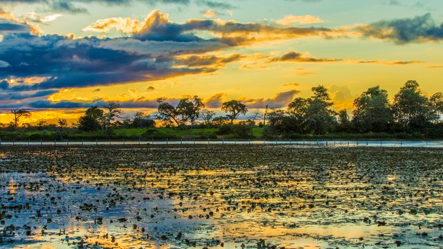 Colorido atardecer en Pantanal, Brasil